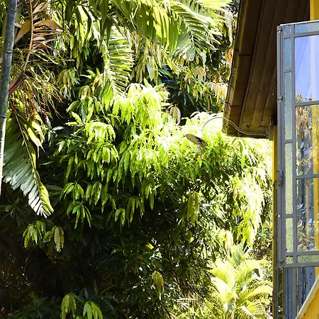 Casa Amarelo-3